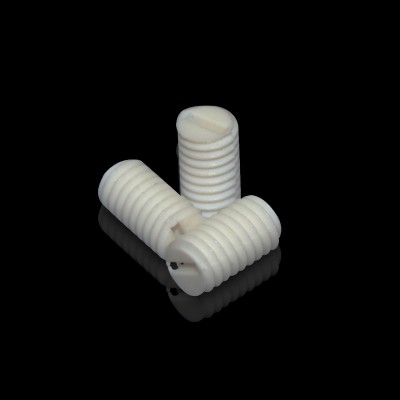 Plastic Slotted Set Polyvinylidene fluoride PVDF Screw With Flat Point