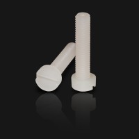 Plastic Slotted Cheese Head PVDF Screws Plastic Bolt High Mechanical Strength Factory direct supply